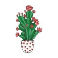 Vector illustration of a cactus in a pot. Flowerpot. Home plants.
